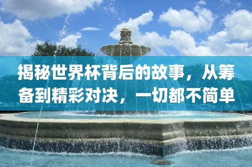 揭秘世界杯背后的故事，从筹备到精彩对决，一切都不简单漯河市盈旭机械设备有限公司
