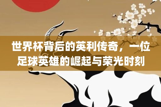 世界杯背后的英利传奇，一位足球英雄的崛起与荣光时刻