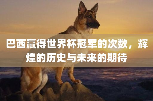 巴西赢得世界杯冠军的次数，辉煌的历史与未来的期待