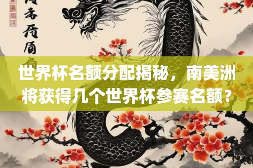 世界杯名额分配揭秘，南美洲将获得几个世界杯参赛名额？