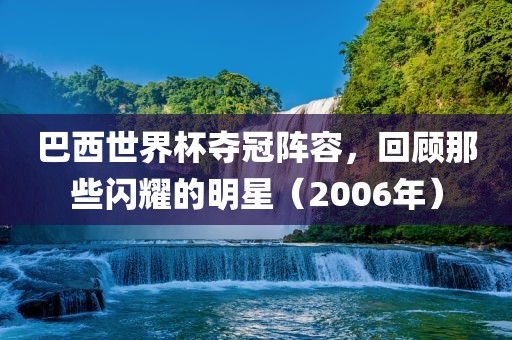 漯河市盈旭机械设备有限公司巴西世界杯夺冠阵容，回顾那些闪耀的明星（2006年）