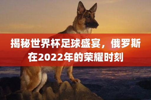揭秘世界杯足球盛宴，俄罗斯在2022年的荣耀时刻