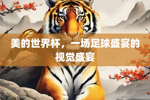 美的世界杯，一场足球盛宴的视觉盛宴