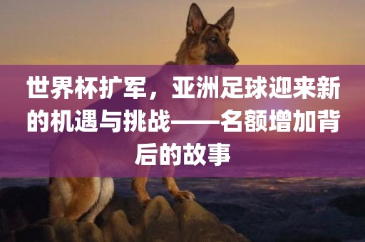 世界杯扩军，亚洲足球迎来新的机遇与挑战——名额增加背后的故事