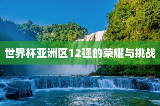 世界杯亚洲区12强的荣耀与挑战