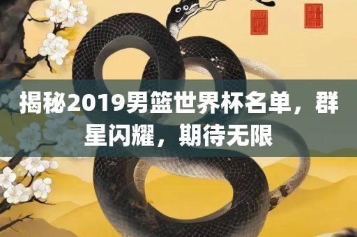 揭秘2019男篮世界杯名单，群星闪耀，期待无限