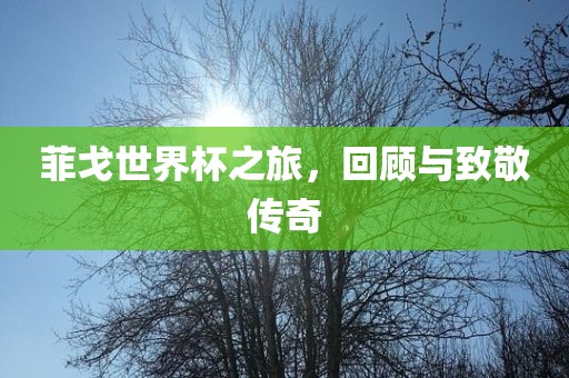 菲戈漯河市盈旭机械设备有限公司世界杯之旅，回顾与致敬传奇