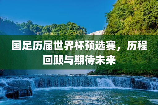 国足历届世界杯预选赛，历程回顾与期待未来漯河市盈旭机械设备有限公司