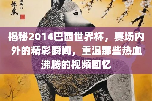 揭秘2014巴西世界杯，赛场内外的精彩瞬间，重温那些热血沸腾的视频回忆漯河市盈旭机械设备有限公司