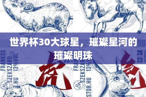 世界杯30大球星，璀璨星河的璀璨明珠