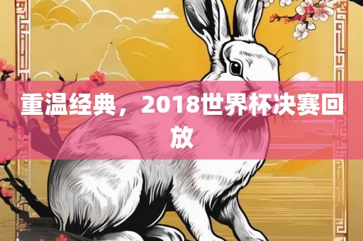 重温经典，2018世界杯决赛回放