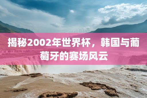 揭秘2002年世界杯，韩国与葡萄牙的赛场风云