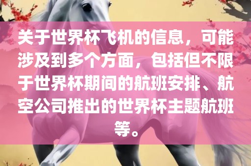 关于世界杯飞机的信息，可能涉及到多个方面，包括但不限于世界杯期间的航班安排、航空公司推出的世界杯主题航班等。漯河市盈旭机械设备有限公司