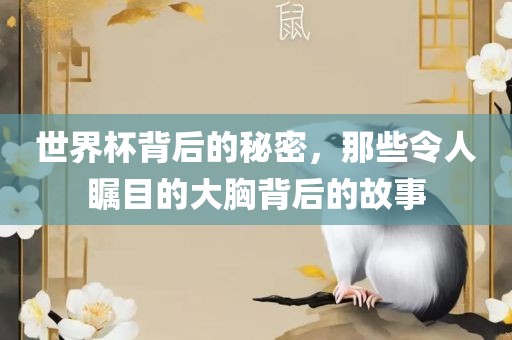 世界杯背后的秘密，那些令人瞩目的大胸背后的故事