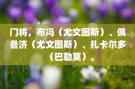 门将，布冯（尤文图斯）、佩鲁济（尤文图斯）、扎卡尔多（巴勒莫）。