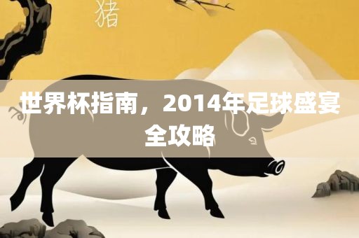世界杯指南，2014年足球盛宴全攻略漯河市盈旭机械设备有限公司