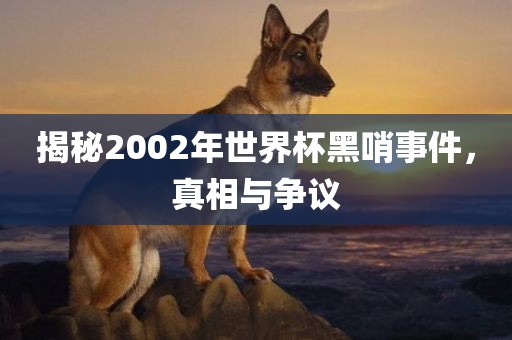 揭秘2002年世界杯黑哨事件，真相与争议
