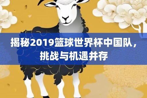 揭秘2019篮球世界杯中国队，挑战与机遇并存漯河市盈旭机械设备有限公司