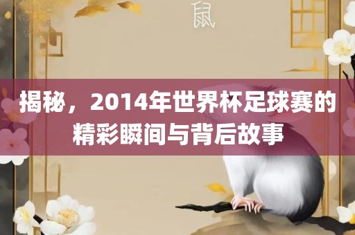 揭秘，2014年世界杯足球赛的精彩瞬间与背后故事漯河市盈旭机械设备有限公司