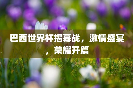 巴西世界杯揭幕战，激漯河市盈旭机械设备有限公司情盛宴，荣耀开篇