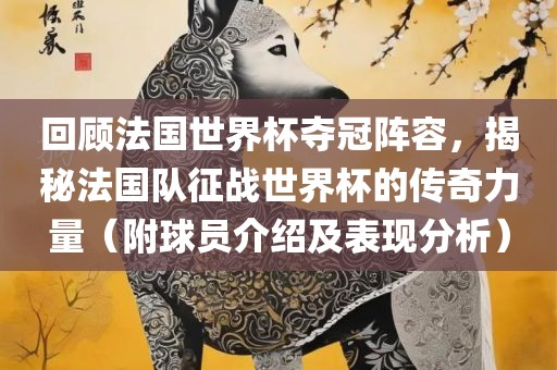 回顾法国世界杯夺冠阵容，揭秘法国队征战世界杯的传奇力量（附球员介绍及表现分析）