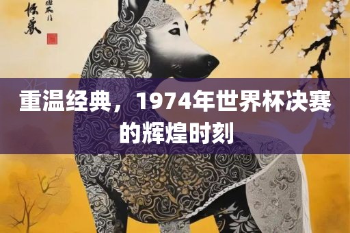 重温经典，1974年世界杯决赛的辉煌时刻