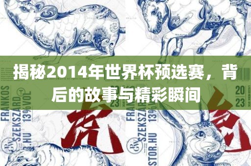 揭秘2014年世界杯预选赛，背后的故事与精彩瞬间