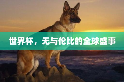 世界杯，无与伦比的全球盛事漯河市盈旭机械设备有限公司