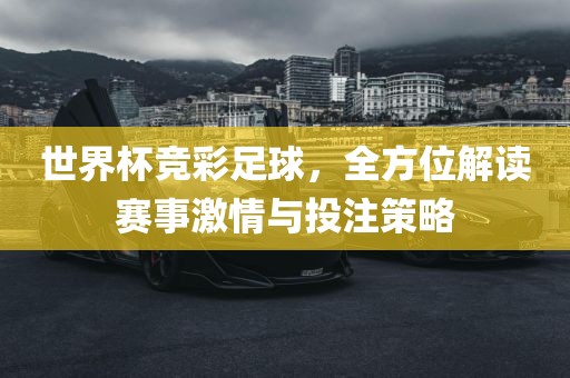 世界杯竞彩足球，全方位解读赛事激情与投注策略漯河市盈旭机械设备有限公司