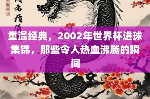 重温经典，2002年世界杯进球集锦，那些令人热血沸腾的瞬间漯河市盈旭机械设备有限公司