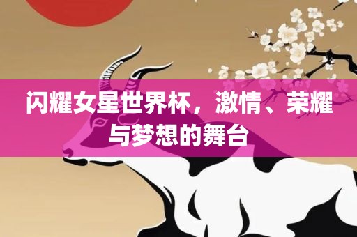 闪耀女星世界杯，激情、荣耀与梦想的舞台漯河市盈旭机械设备有限公司