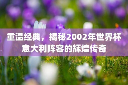 重温经典，揭秘2002年世界杯意大利阵容的辉煌传奇