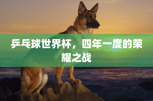 乒乓球世界杯，四年一度的荣耀之战