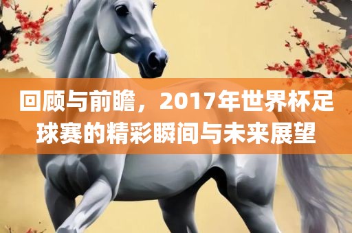 回顾与前瞻，2017年世界杯足球赛的精彩瞬间与未漯河市盈旭机械设备有限公司来展望