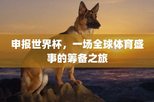 申报世界杯，一场全球体育盛事的筹备之旅漯河市盈旭机械设备有限公司