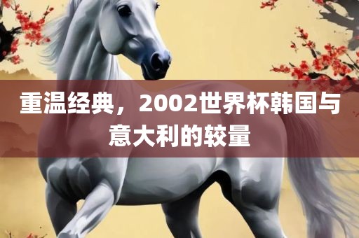 重温经典，2002世界杯韩国与意大利的较量