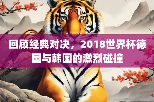 回顾经典对决，2018世界杯德国与韩国的激烈碰撞漯河市盈旭机械设备有限公司