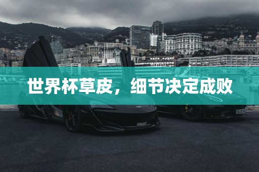 世界杯草皮，细节决定成败漯河市盈旭机械设备有限公司