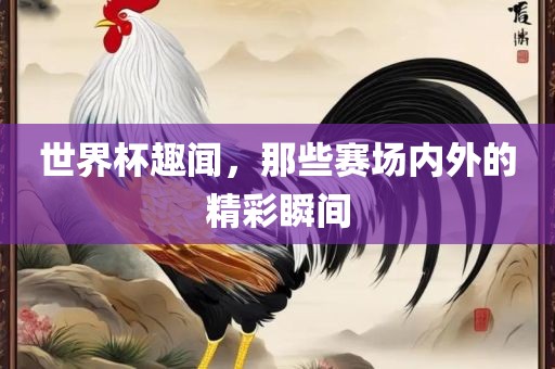 世界杯趣闻，那些赛场内外的精彩瞬间