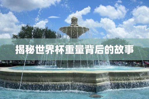 揭秘世界杯重量背后的故事漯河市盈旭机械设备有限公司