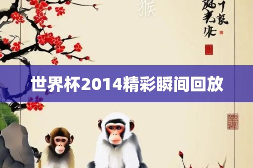 世界杯2014精彩瞬间回放