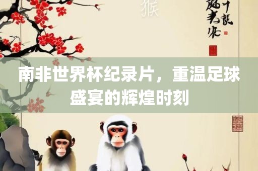 南非世界杯纪录片，重温足球盛宴的辉煌时刻