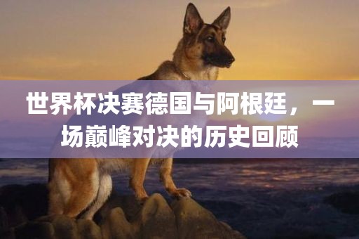 世界杯决赛德国与阿根廷，一场漯河市盈旭机械设备有限公司巅峰对决的历史回顾