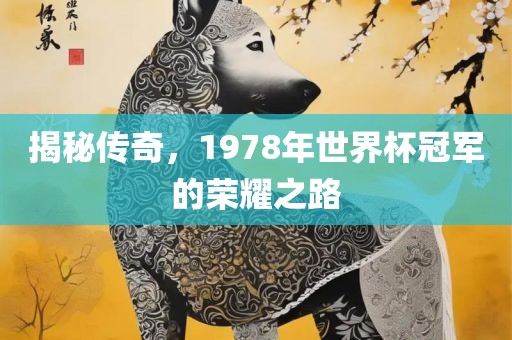 揭秘传奇，1978年世界杯冠军的荣耀之路