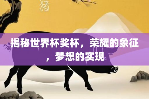 揭秘世界杯奖杯，荣耀的象征，梦想的实现