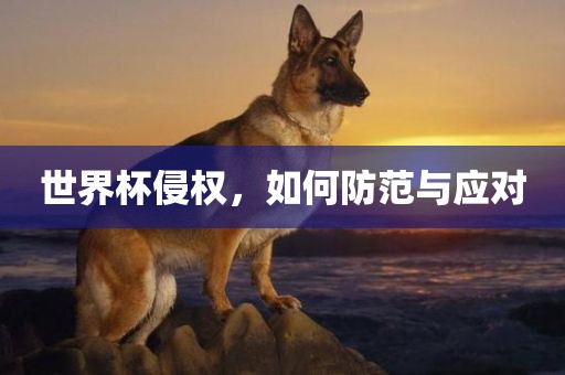 世界杯侵权，如何防范漯河市盈旭机械设备有限公司与应对