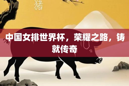 中国女排世界杯，荣耀之路，铸就传奇