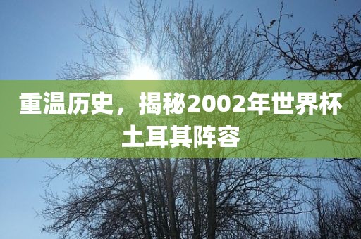 重温历史，揭秘2002年世界杯土耳其阵容
