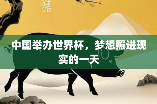 中国举办世界杯，梦想照进现实的一天