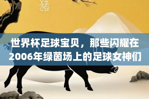世界杯足球宝贝，那些闪耀在20漯河市盈旭机械设备有限公司06年绿茵场上的足球女神们